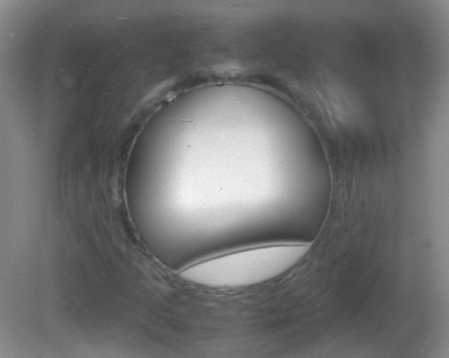 X0000082971205200702011133