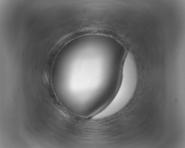 X0000082971206200702011133