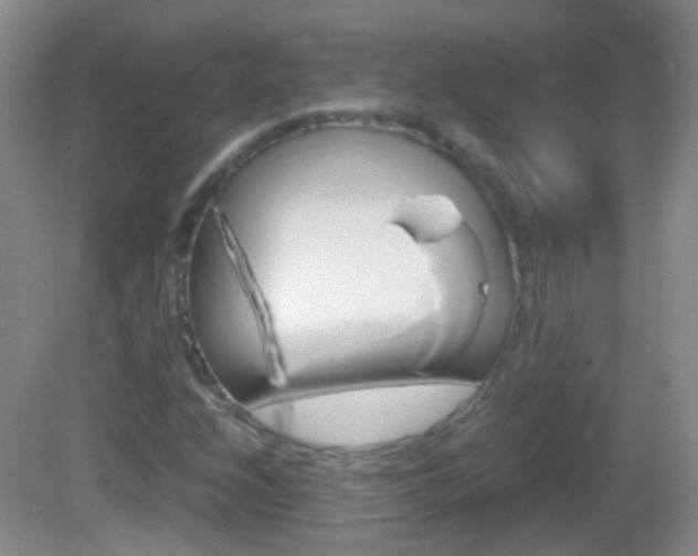 X0000082971208200702011133
