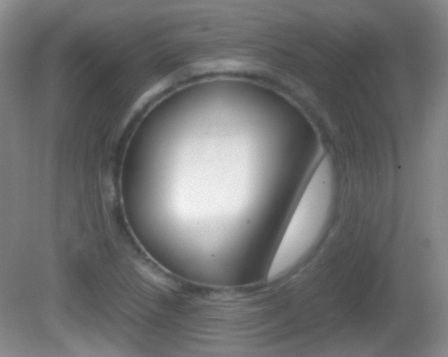 X0000082971218200702011134