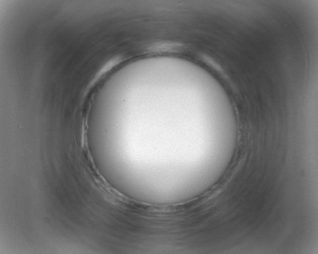 X0000082971219200702011134