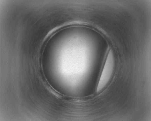 X0000082971222200702011134