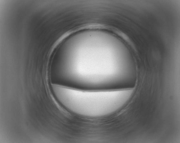 X0000082971229200702011134