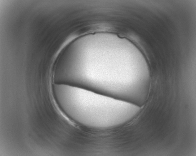X0000082971235200702011134