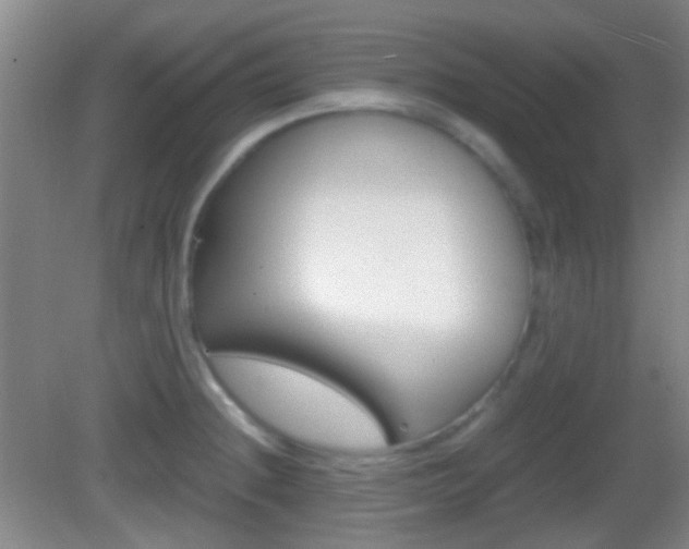 X0000082971236200702011134