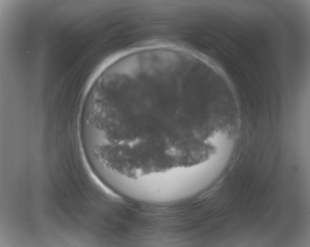 X0000082971239200702011134