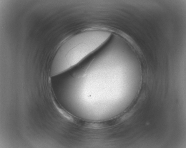 X0000082971241200702011134