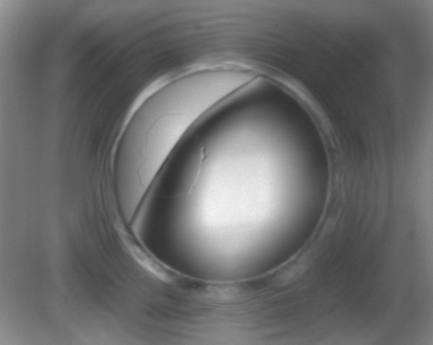 X0000082971242200702011134