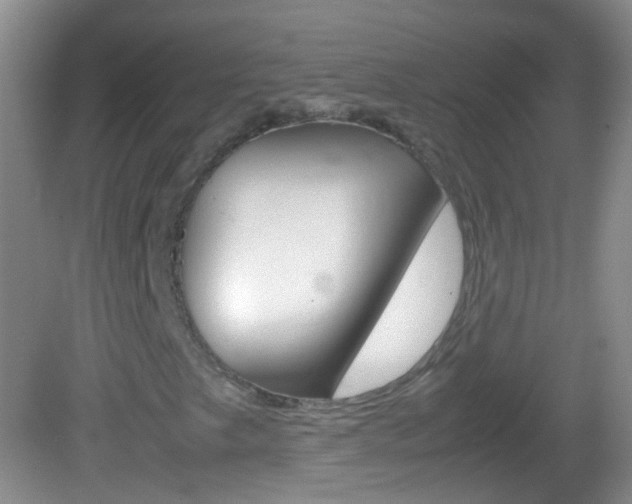 X0000082971249200702011133