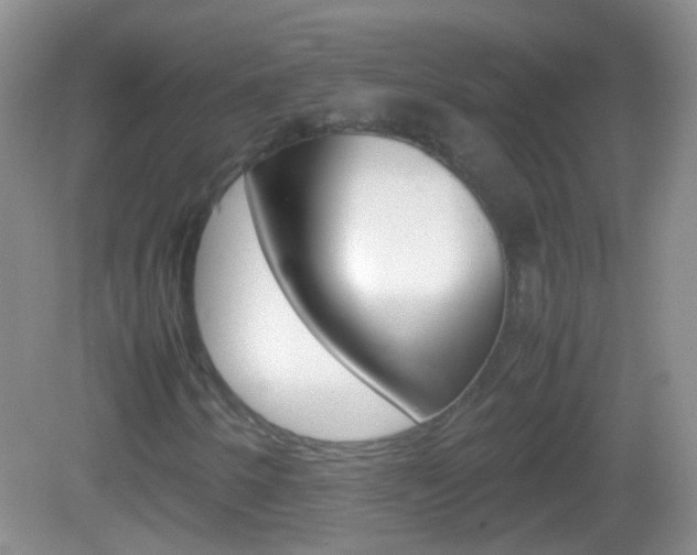 X0000082971250200702011133