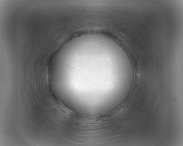 X0000082971252200702011133