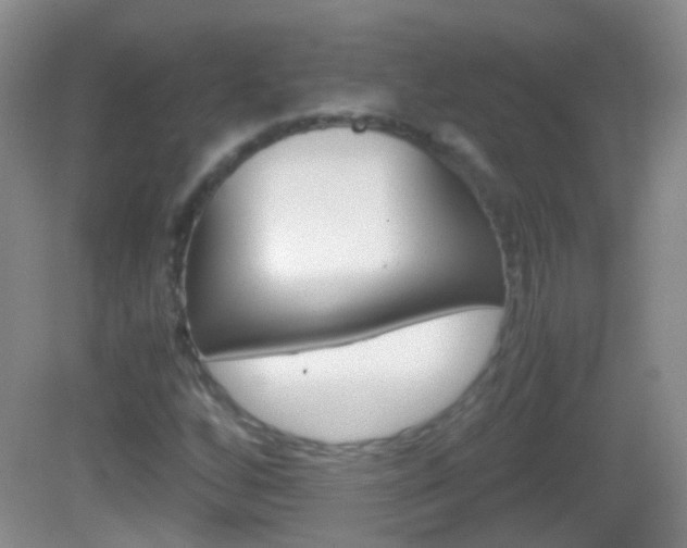 X0000082971256200702011133