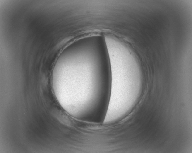 X0000082971257200702011133