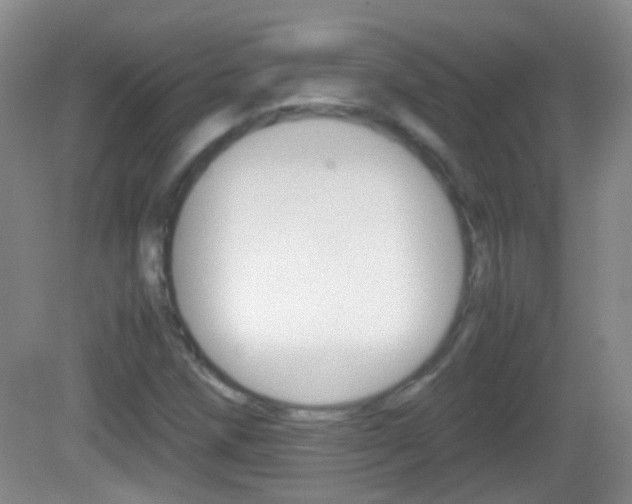 X0000082971258200702011133