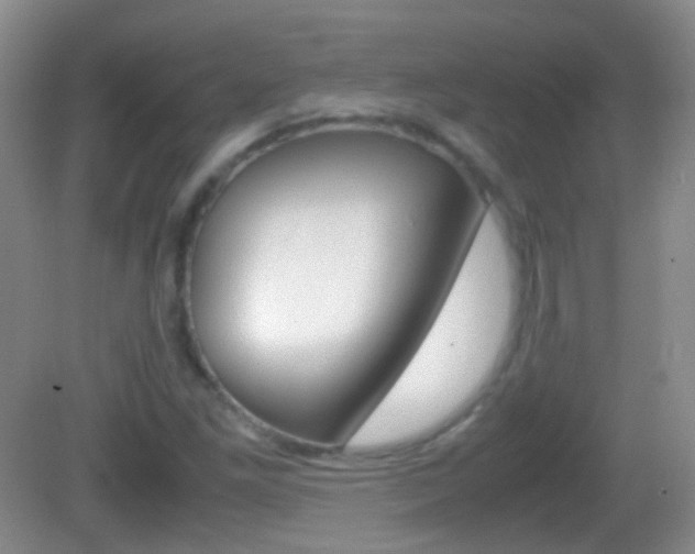 X0000082971261200702011133