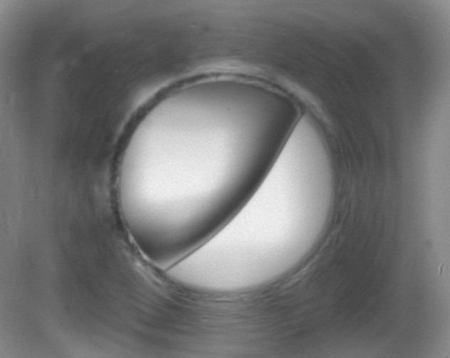 X0000082971264200702011133