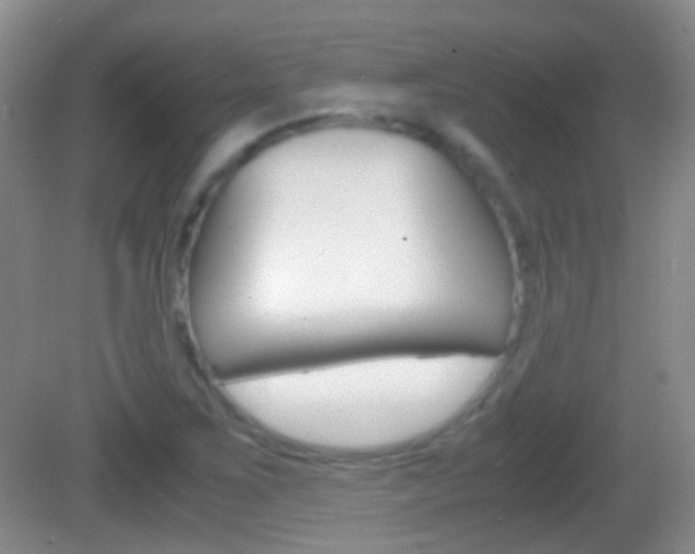 X0000082971267200702011133