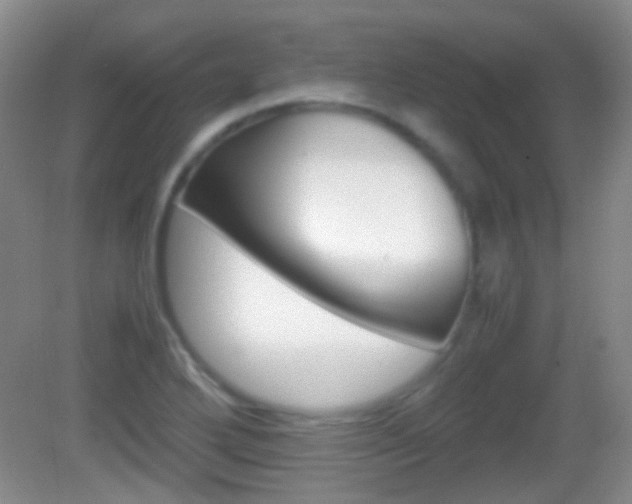 X0000082971272200702011133