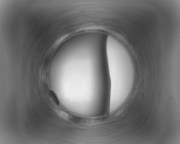 X0000082971273200702011133