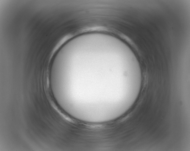 X0000082971274200702011133