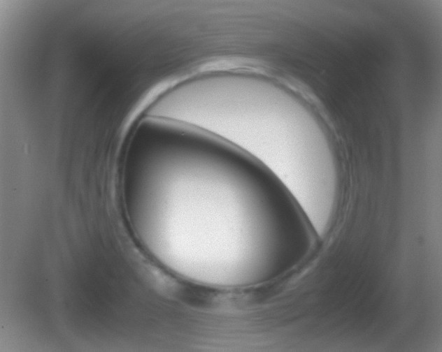 X0000082971277200702011133