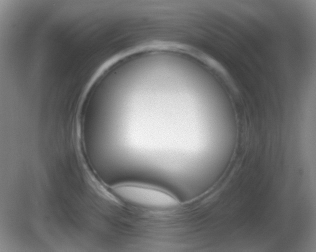 X0000082971280200702011133