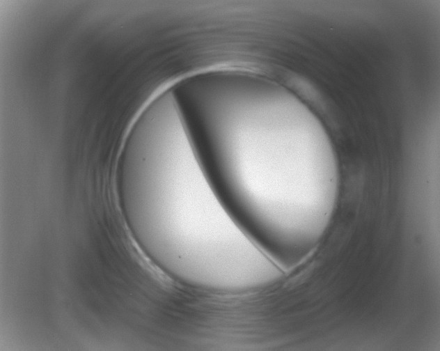 X0000082971284200702011133