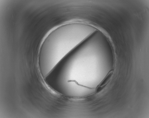 X0000082971296200702011133