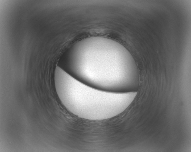 X0000082971297200702011132