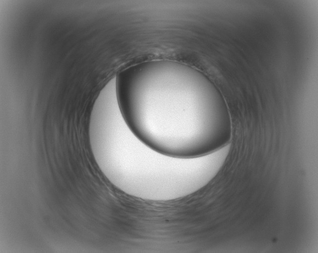 X0000082971298200702011132