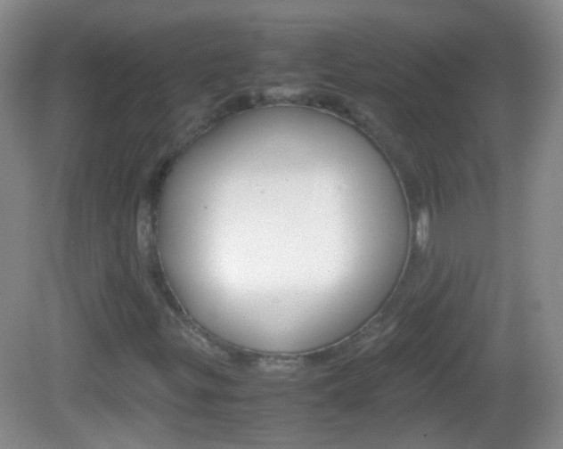 X0000082971299200702011132