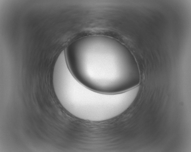 X0000082971300200702011132