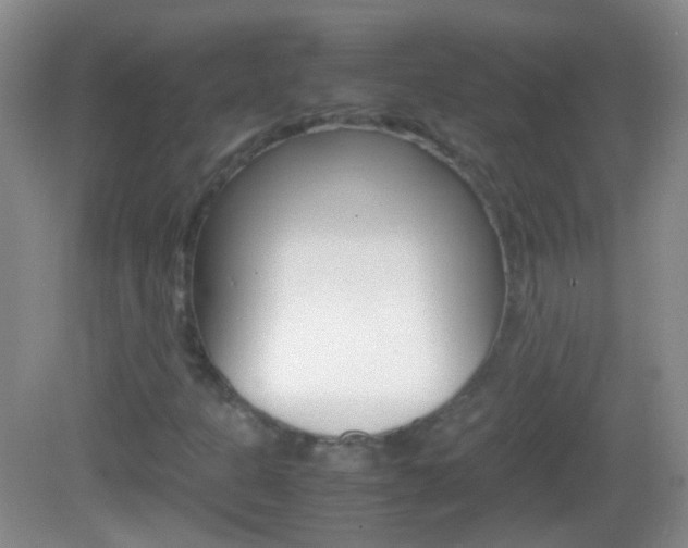 X0000082971301200702011132
