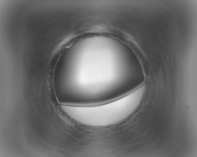 X0000082971304200702011132