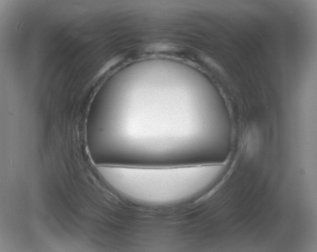 X0000082971305200702011132
