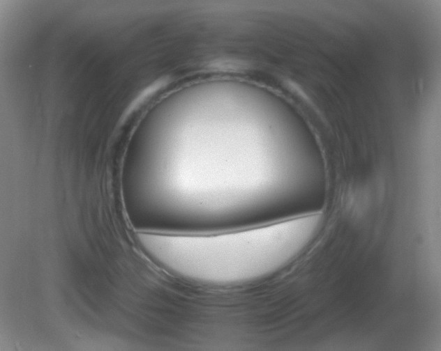 X0000082971307200702011132