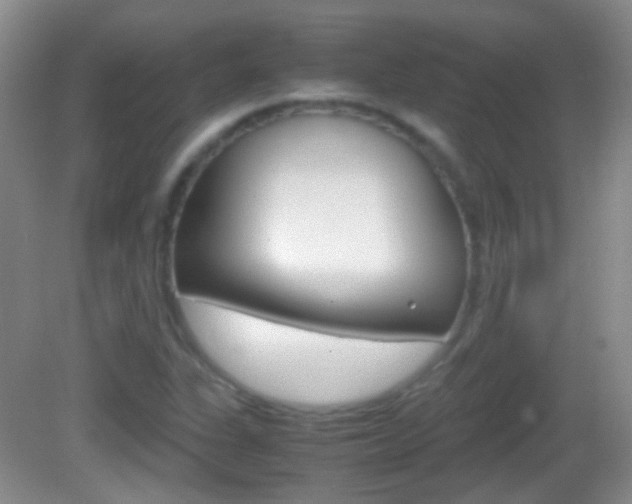 X0000082971311200702011132