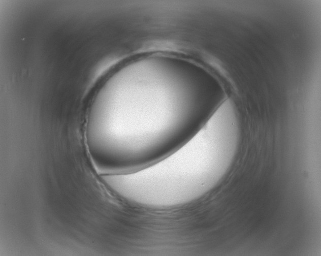 X0000082971312200702011132