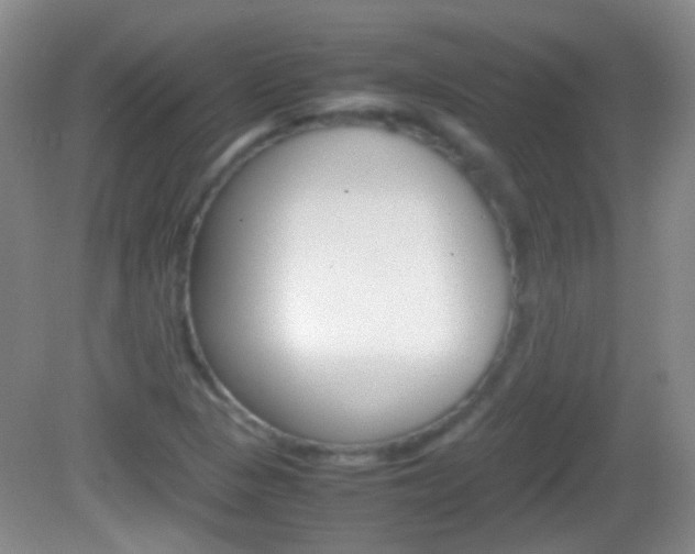 X0000082971313200702011132
