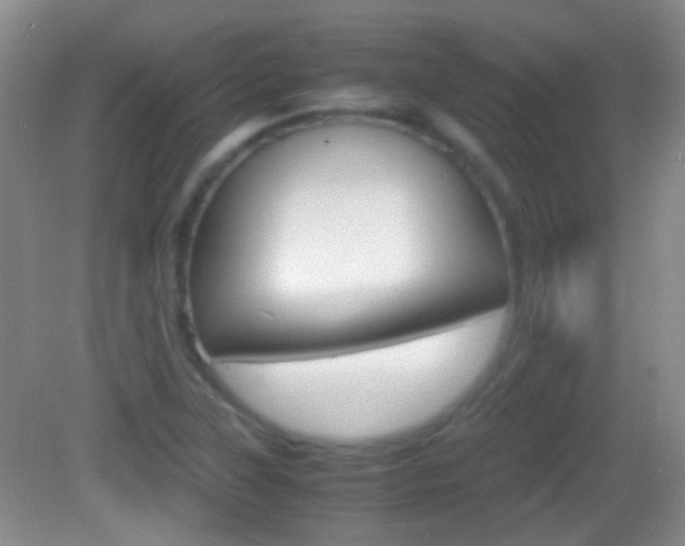 X0000082971315200702011132