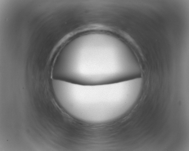 X0000082971318200702011132