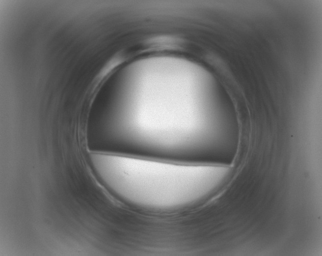 X0000082971321200702011132