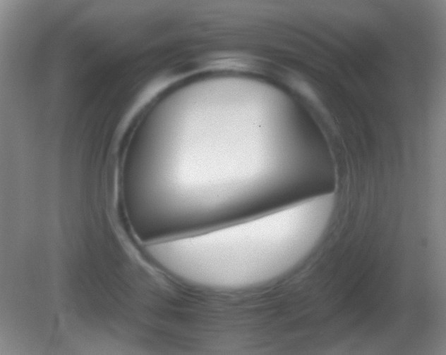 X0000082971323200702011132