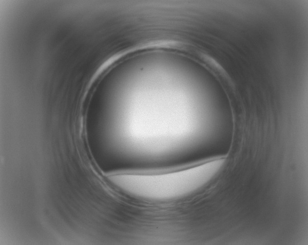 X0000082971324200702011132