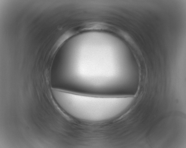 X0000082971329200702011132