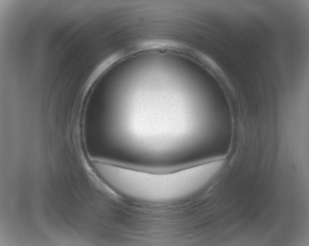X0000082971330200702011132
