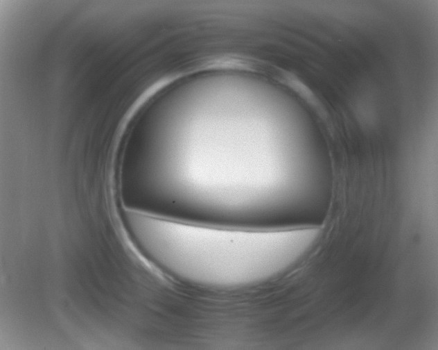 X0000082971331200702011132