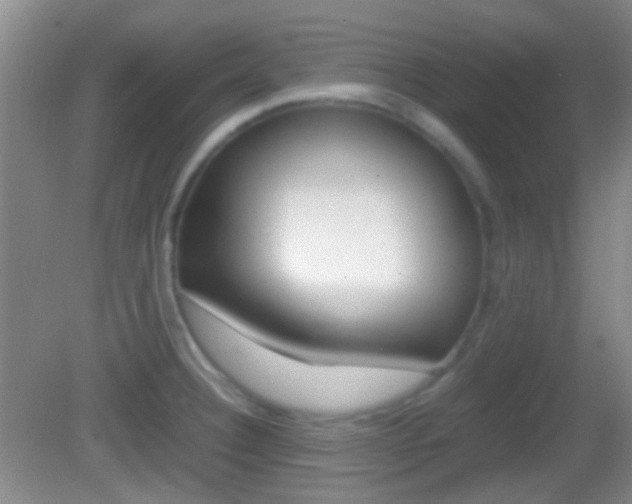 X0000082971332200702011132