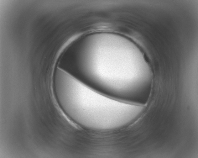 X0000082971333200702011132