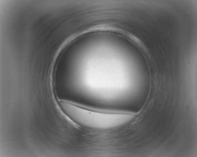 X0000082971334200702011132